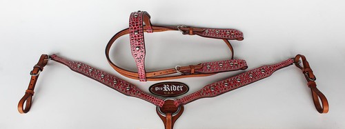 Cavallo spettacolo briglia - spettacolo,