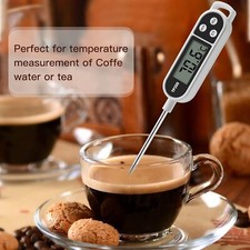 Termometro Digitale per