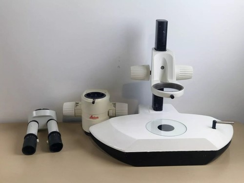 Leica mz12 microscopio - leica,