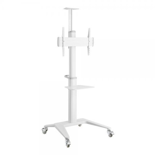 Techly supporto pavimento - supporto,
