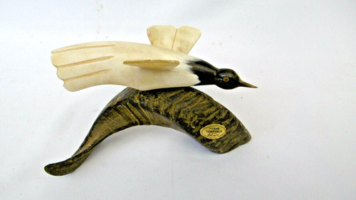 Uccello ramo corno da - su,