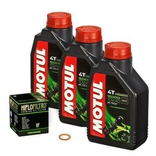 Suzuki DR 800 S Big, 90-99, SR42B SR43B; olio Motul 10w40; filtro olio motore HiFlo