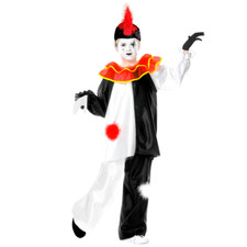 Costume carnevale pierrot - costume,