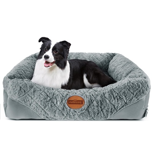 Cuccia cane interno taglia - cuccia,