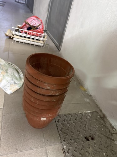 Vasi per piante - in, plastica