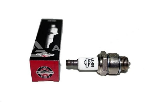 Candela rj19lm motore - rj19lm, briggs&