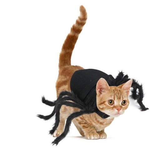Costume ragno nero animale
