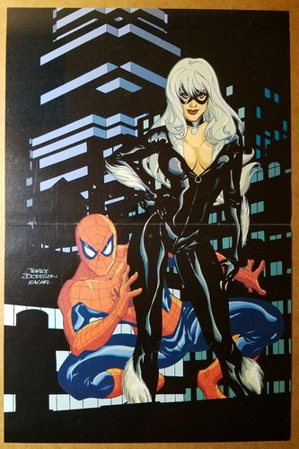 Poster spider man black - spider-man, cat
