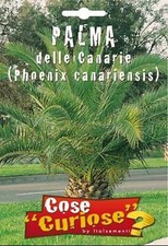 Semi / Seeds PALMA DELLE