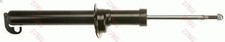 Ammortizzatore TRW JGS165S