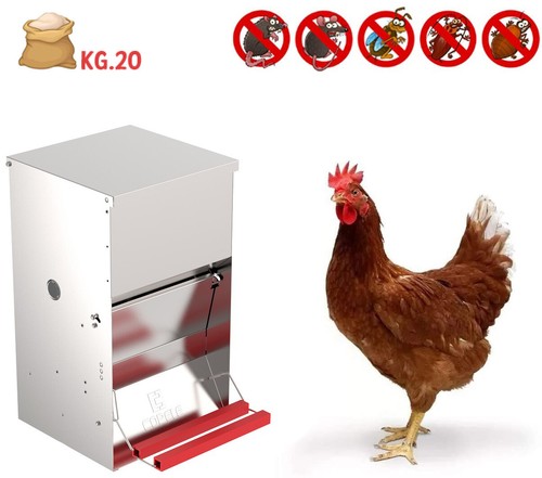 Mangiatoia per polli galline - mangiatoia,