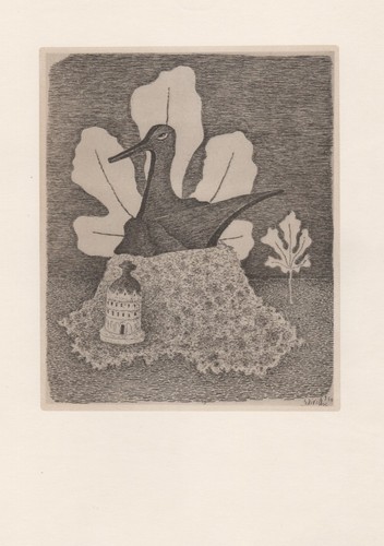 Giuseppe viviani stampa - giuseppe,