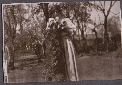 Vintage photograph 1920 - photograph, 1920's