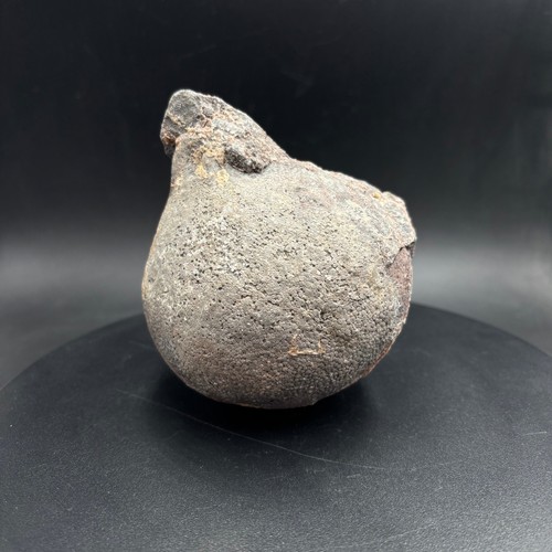 Rare silurian crinoid lobolite - rare,