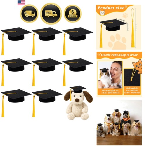 Mini tappi laurea con - tappi, nappe