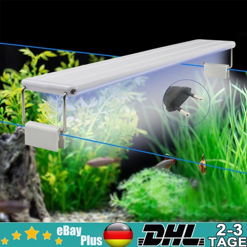 Illuminazione acquario led - acquario, rgb