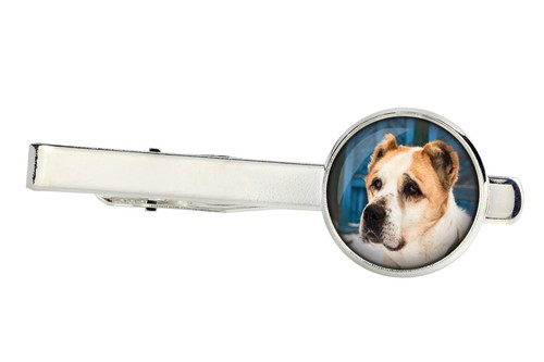 Cane pastore dell asia - da,