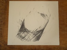 Latika Katt "Senza titolo"