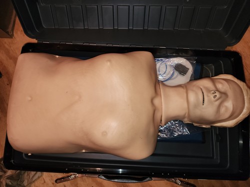 Laerdal resusci anne cpr - anne, torso