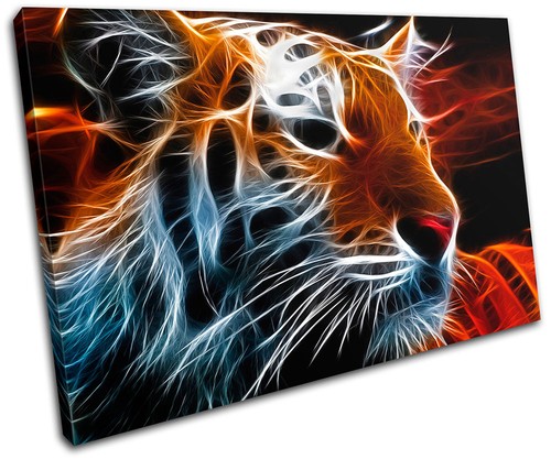Tiger animal abstract - tiger, concept