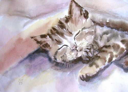 Pittura acquerello gatto che