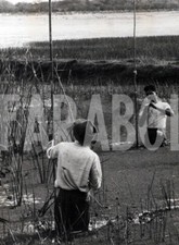 Foto vintage Uccelli, 1962