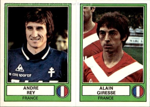 Figurina panini euro football - figurina,