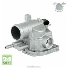 Termostato Acqua Meat Per