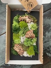 ? Quadro di Muschio Stabilizzato - Un Tocco di Natura per la Tua Casa! ?