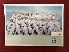 SVEZIA SKI TEAM 2010-Teamcard-X-Country-Vattenfall-Brodin-Halfvarsson-MK/AK