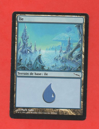 Magic 291 306 terreno di - magic,