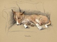 BASENJI CHARMING DOG GREETINGS