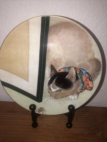 Mmoa gatto ragno piatto - mmoa,