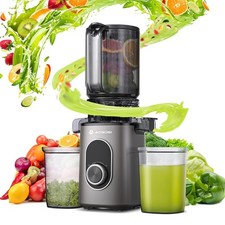 AAOBOSI Juicer Slow Estrattore