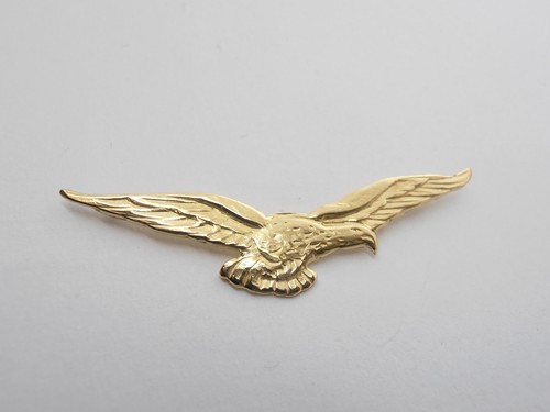 Aeronautica spilla da giacca - :,