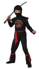 Rubies Costume Drago Ninja