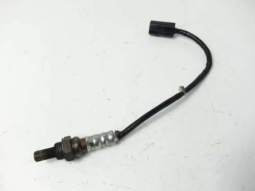 Sonda lambda ducati - sonda,
