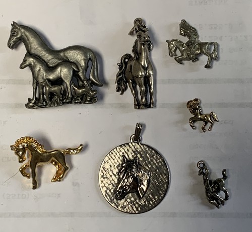 Speciale amanti dei cavalli - speciale,