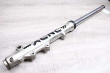 Stelo forcella anteriore