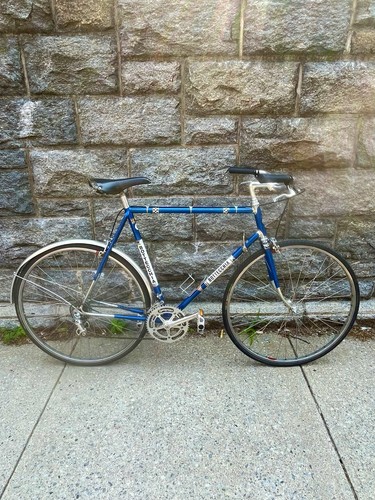 bottecchia 800