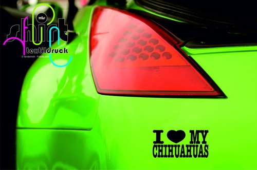 936 love my chihuahuas - a,