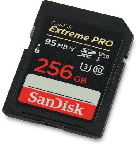 Scheda sandisk 256gb - sd,