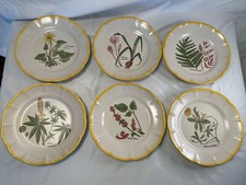 SET 6 PIATTI BUFFET ERBE