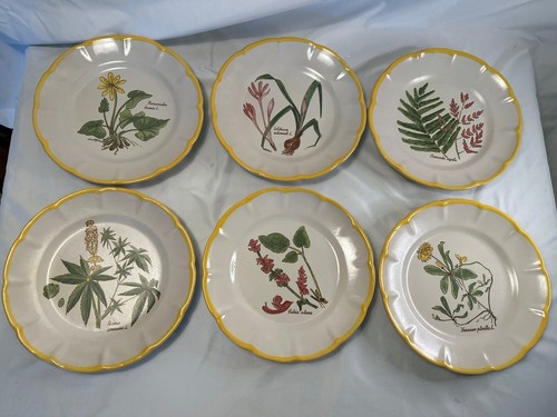 Set piatti buffet - set, 6