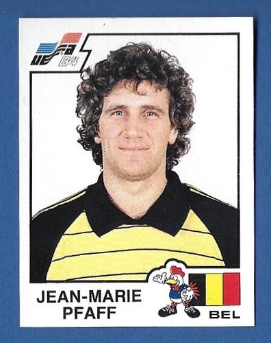 Figurina calciatori panini - figurina,