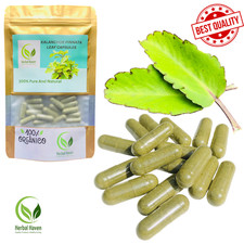 Capsule di foglie di Kalanchoe