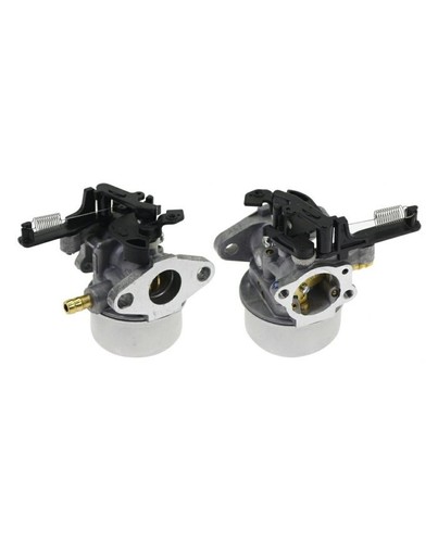 Briggs stratton carburatore - &,