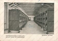 1942 Coniglicoltura di Bollate reparto fattrici Milano Cartolina intestata