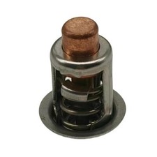 5001036 Johnson / Evinrude 25