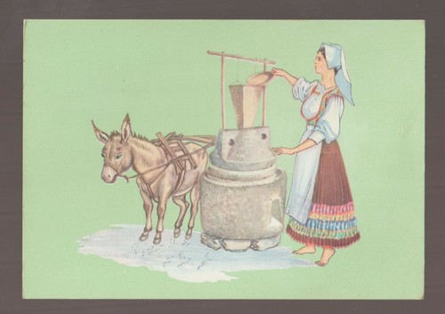 Busachi oristano cartolina - busachi,